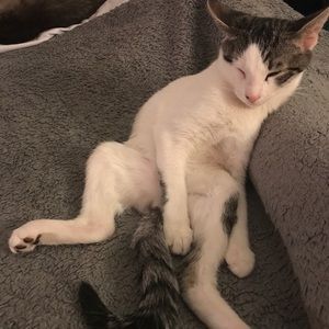 Meet your Posher, Miranda